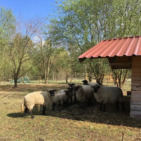 Vakantiehuis Ferienhaus Fur Bis Zu 4 Personen Zur Waldseite - #125247 Grobern